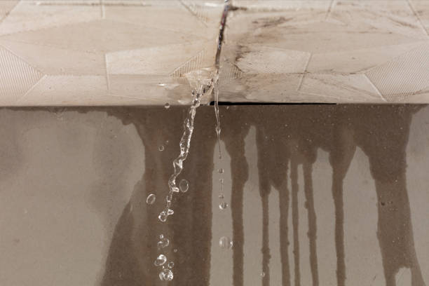 Professional Water Damage Restoration technician working in Haltom City, TX